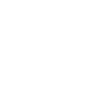 Power Animals United